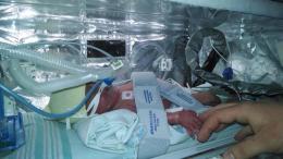 1545660_1447610238790340_1618585588_n