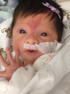 1554525_1452996788251685_207948601_n