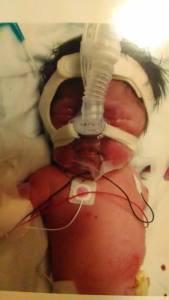 1557484_1447672162117481_1876720010_n